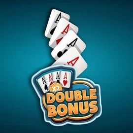 Play Double Double Bonus slot by Red Rake Gaming on trino-casino.org